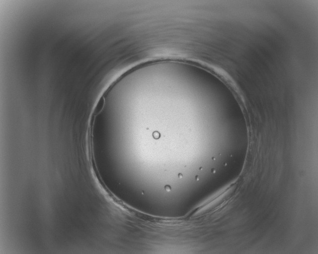 X0000059811295200511041644