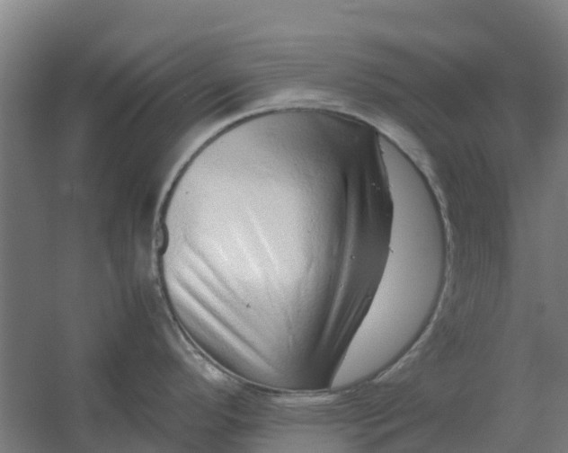 X0000059811296200511041644