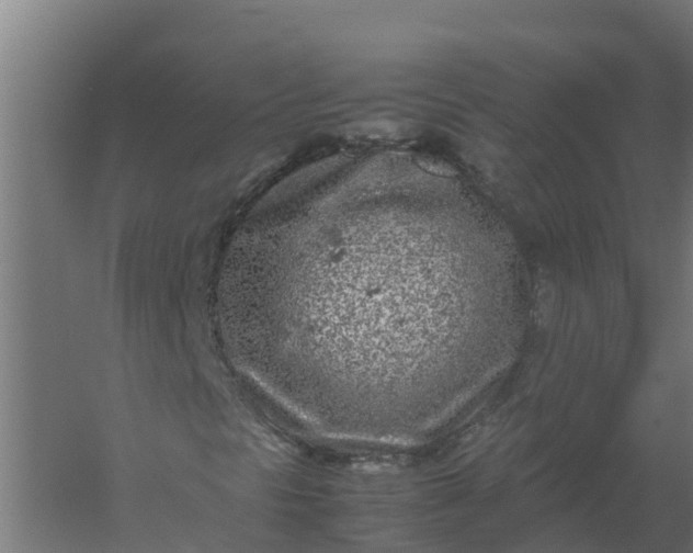 X0000059811297200511041643