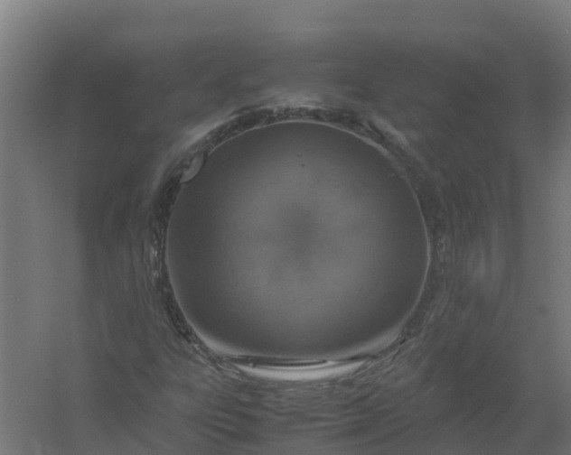 X0000059811303200511041643