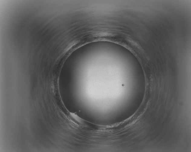 X0000059811305200511041643