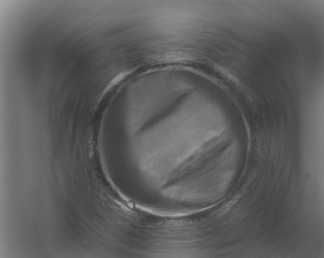 X0000059811306200511041643