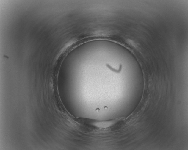 X0000059811307200511041643