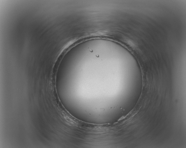 X0000059811308200511041643