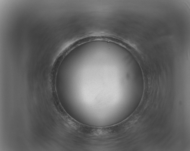 X0000059811311200511041643