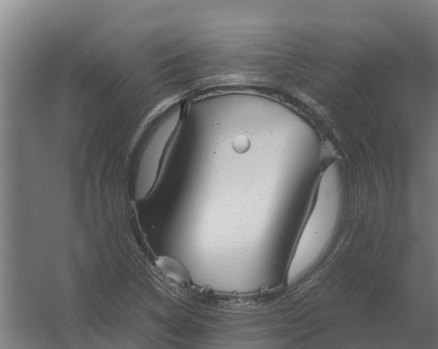 X0000059811314200511041643