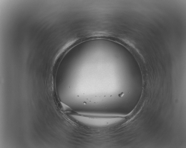 X0000059811317200511041643