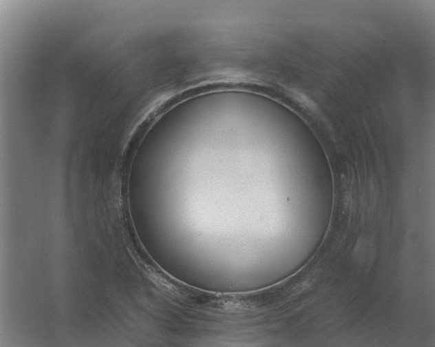 X0000059811318200511041643