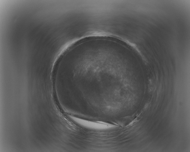 X0000059811319200511041643