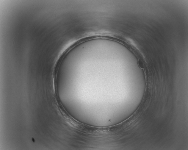 X0000059811320200511041643