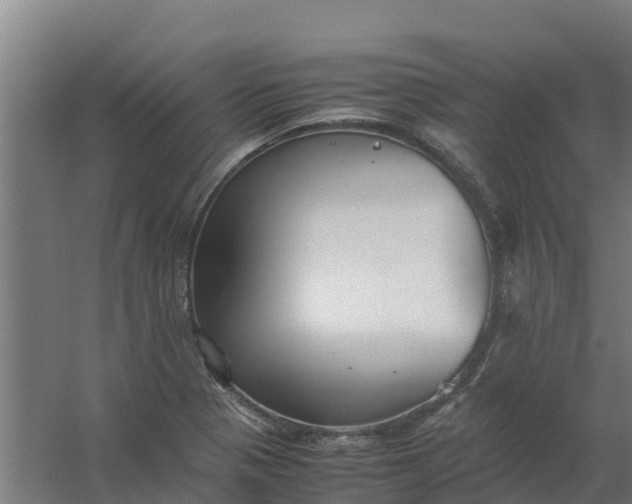 X0000059811321200511041643