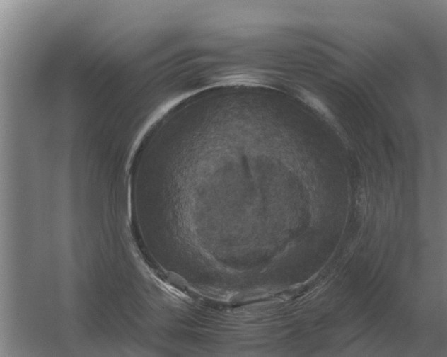 X0000059811323200511041643