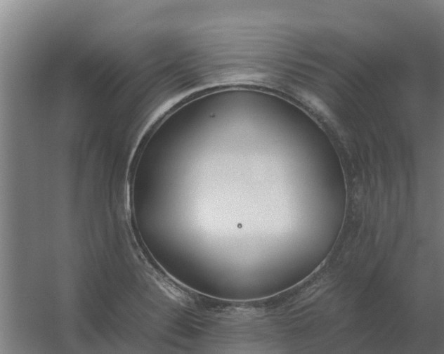 X0000059811324200511041643