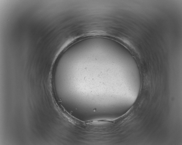 X0000059811325200511041643