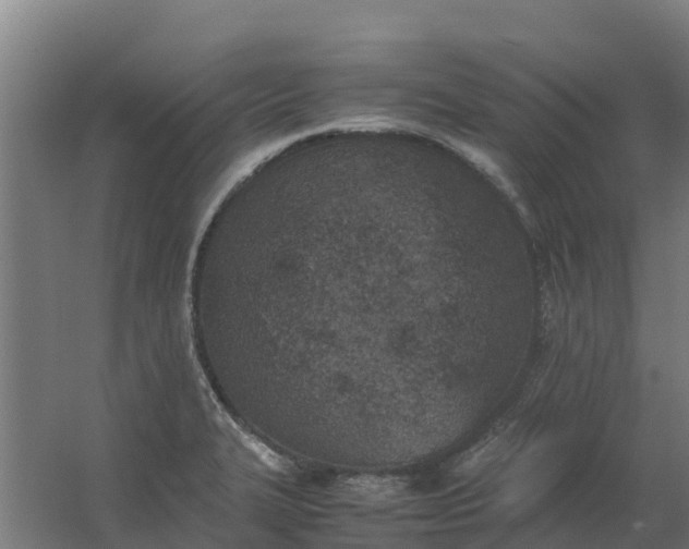 X0000059811327200511041643