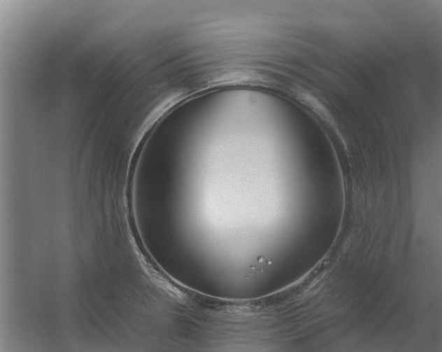 X0000059811330200511041643