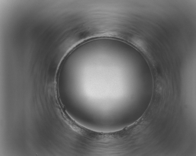 X0000059811332200511041643