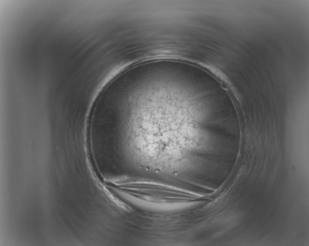 X0000059811333200511041643