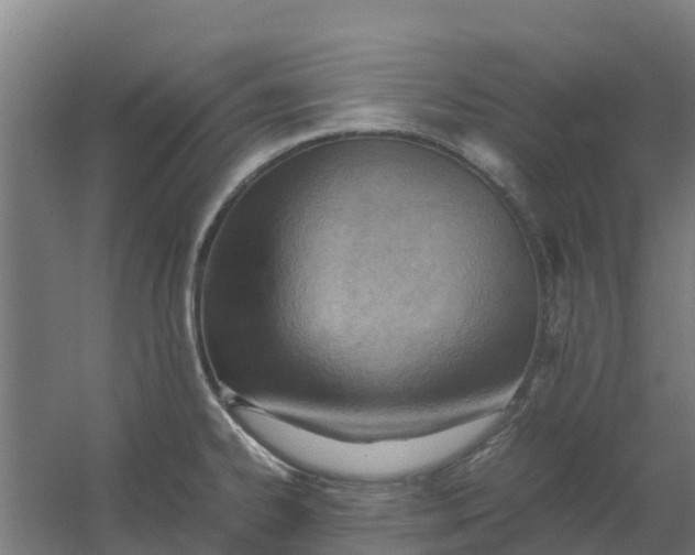 X0000059811334200511041643