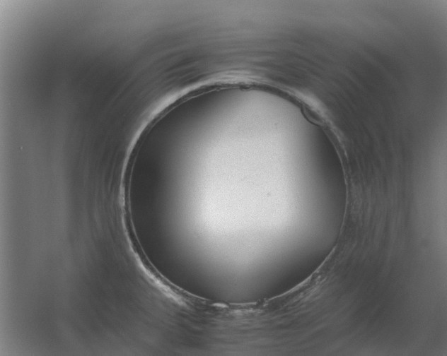 X0000059811335200511041643