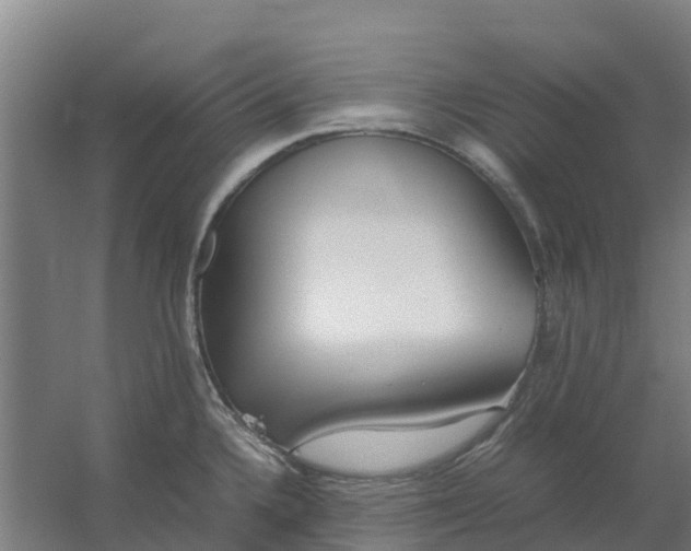 X0000059811336200511041643