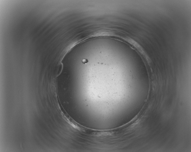 X0000059811337200511041643