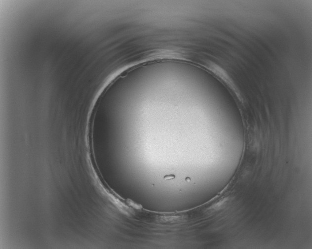 X0000059811339200511041643