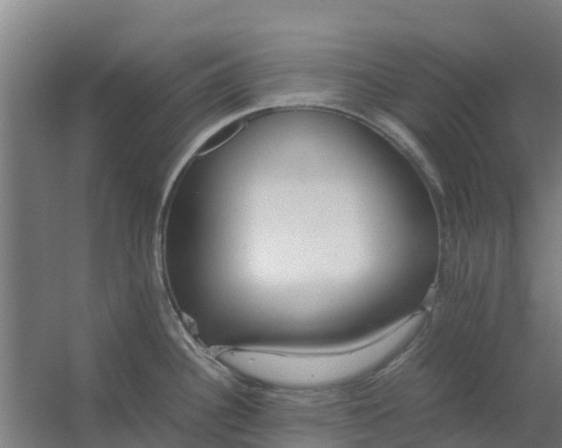 X0000059811340200511041643