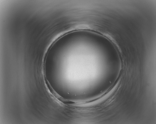 X0000059811342200511041644