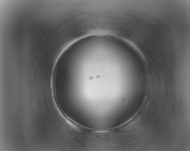 X0000059811343200511041644