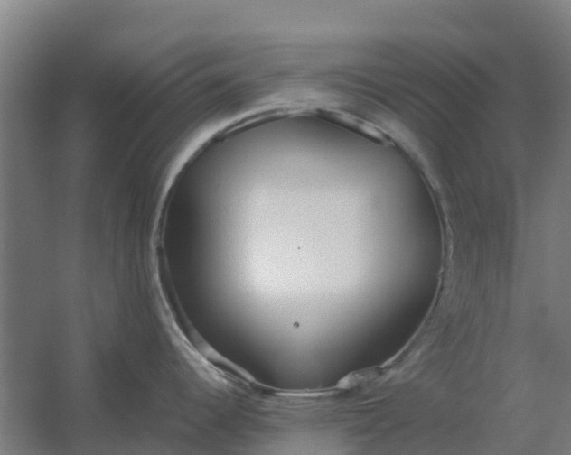 X0000059811344200511041644