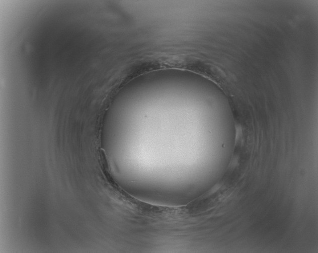 X0000059811345200511041643