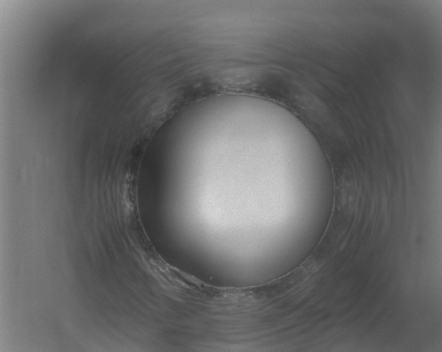 X0000059811346200511041643