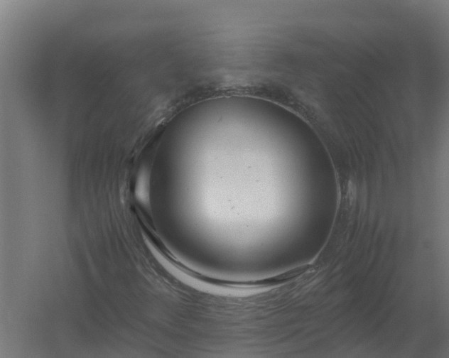 X0000059811348200511041643