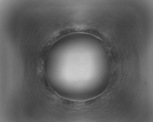 X0000059811349200511041643