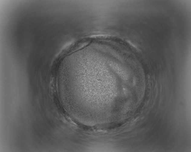 X0000059811351200511041643