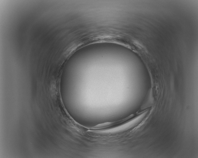 X0000059811353200511041643