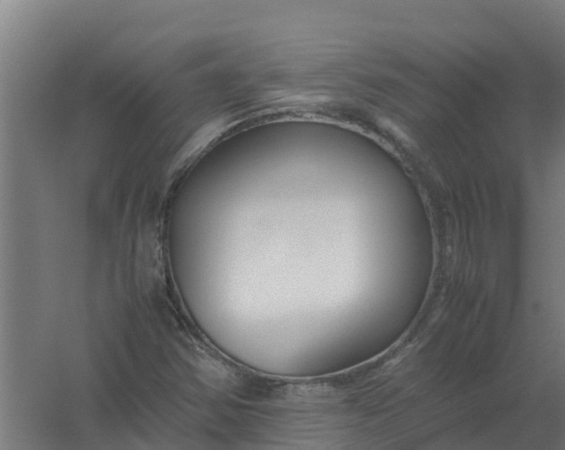 X0000059811354200511041643