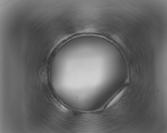 X0000059811356200511041643