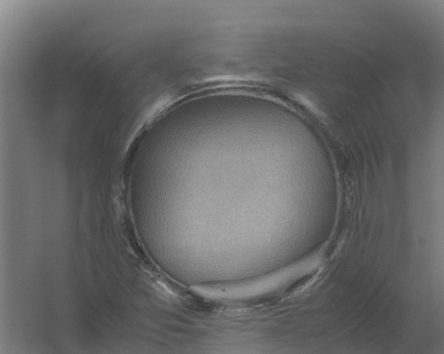 X0000059811357200511041643