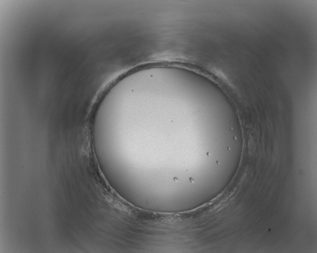 X0000059811358200511041643