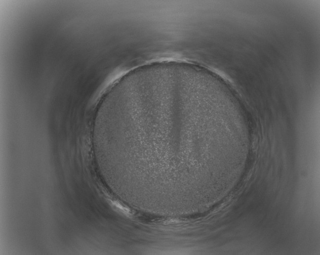 X0000059811359200511041642