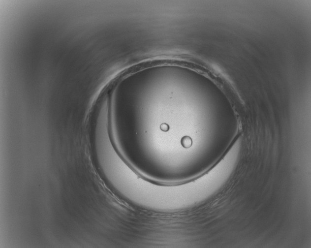 X0000059811360200511041642