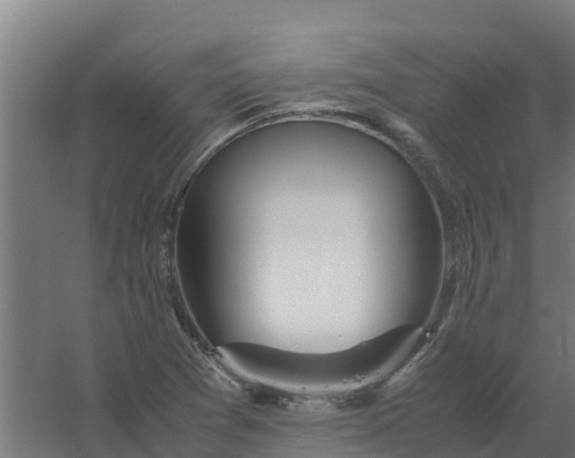 X0000059811361200511041642