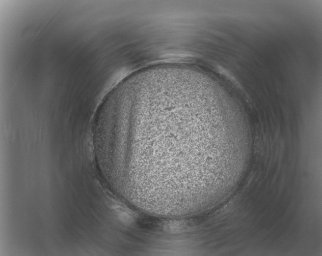 X0000059811362200511041642