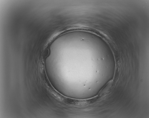 X0000059811363200511041642