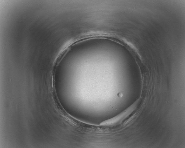 X0000059811365200511041642