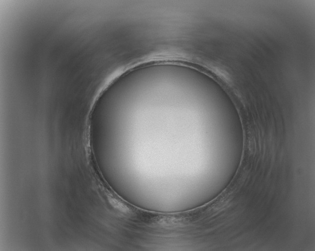 X0000059811366200511041642