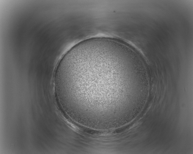 X0000059811367200511041642