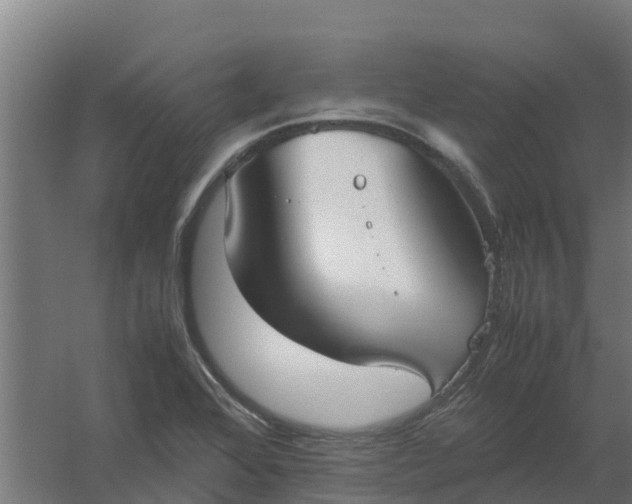 X0000059811368200511041642